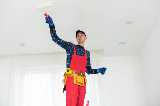 Best Water-Damaged Drywall Repair  in Warm Springs, CA